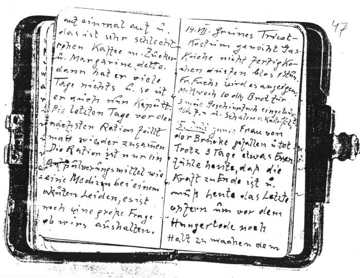 Hauser Diary
